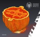Objevování skrytých detailů: aplikace MicroCT v paleontologii