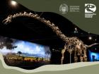Netradiční zimní exkurze do Dinosauria Museum Prague
